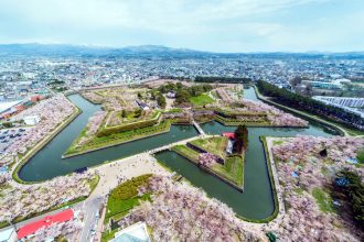 sakura hanami cherry blossom viewing The Real Japan Rob Dyer