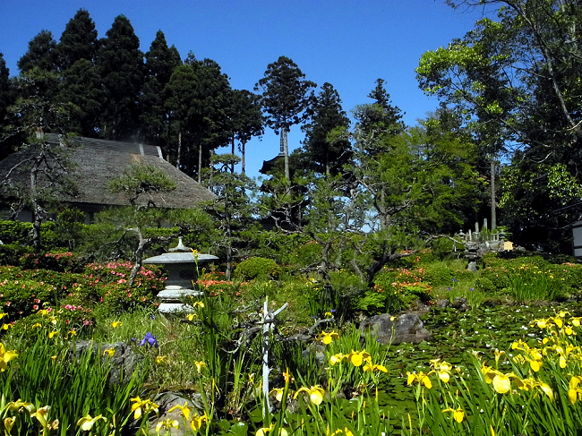 Garden in Sadoshima, plan a trip to Japan, the real Japan