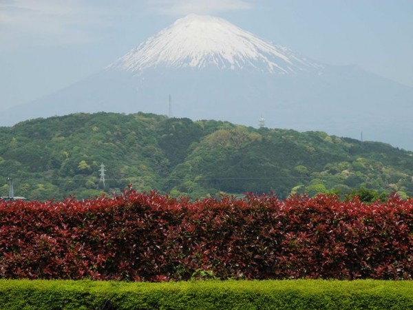 Landscape with Mt. Fuji in the distance