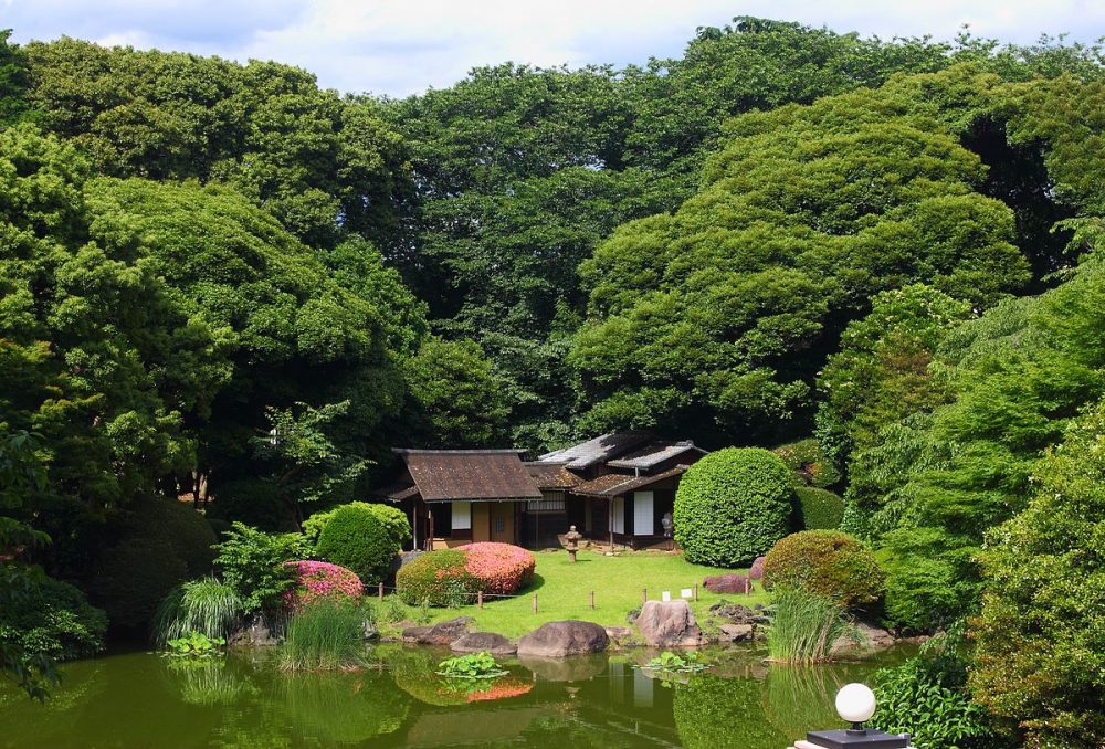 Japanese garden, Tokyo National Museum