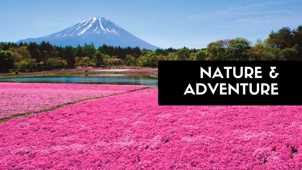 travel category nature & adventure The Real Japan Rob Dyer