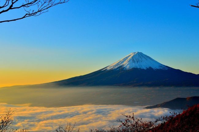 Japan Travel Tours The Real Japan Rob Dyer