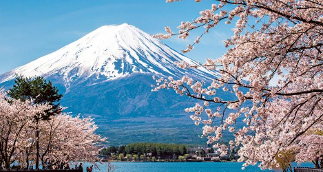 Essential Japan Luxury Tour The Real Japan Rob Dyer