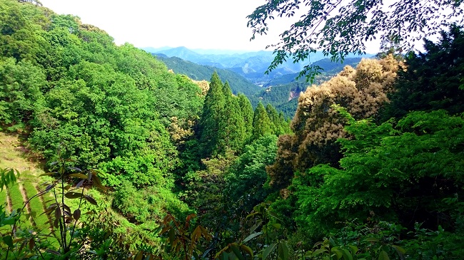 mountains The Real Japan Rob Dyer