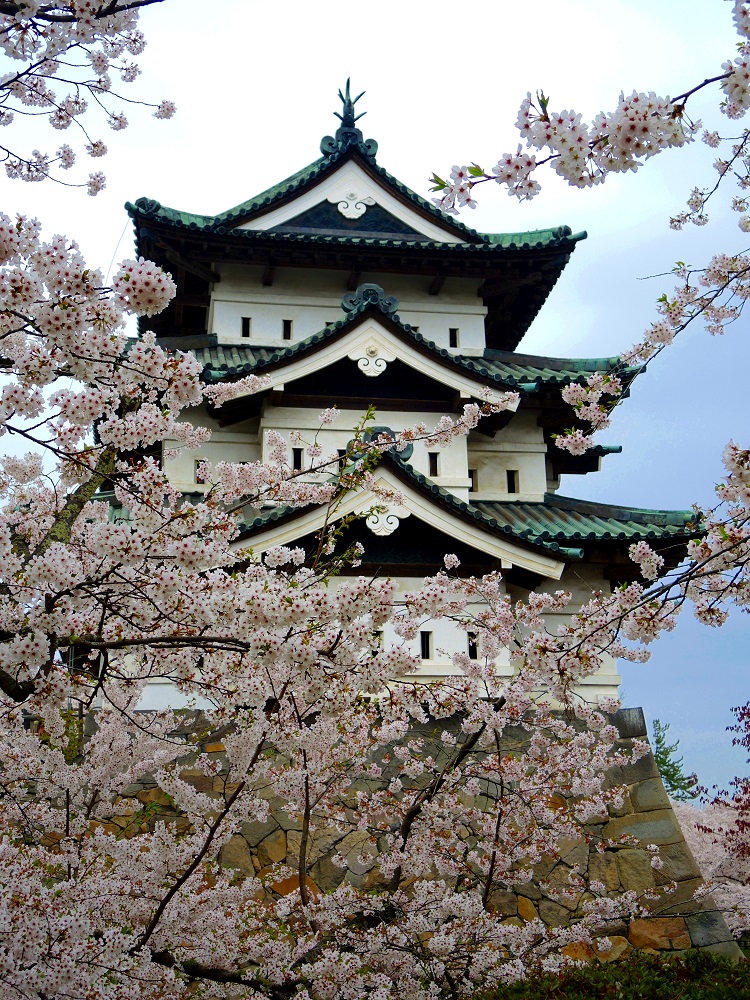 Hirosaki Castle sakura cherry blossom The Real Japan Rob Dyer