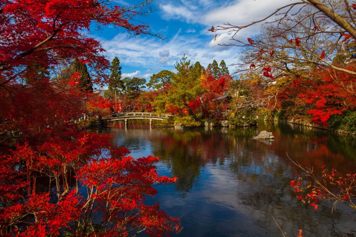 6 Magical Spots to See Spectacular Autumn Leaves in Japan | The Real Japan