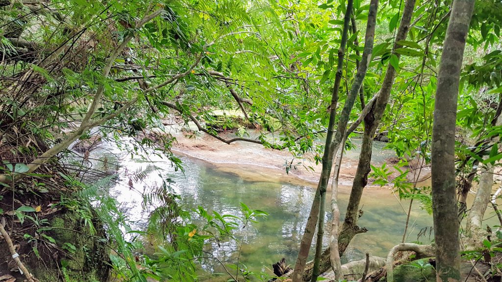 kayaking and trekking on Iriomote The Real Japan Rob Dyer