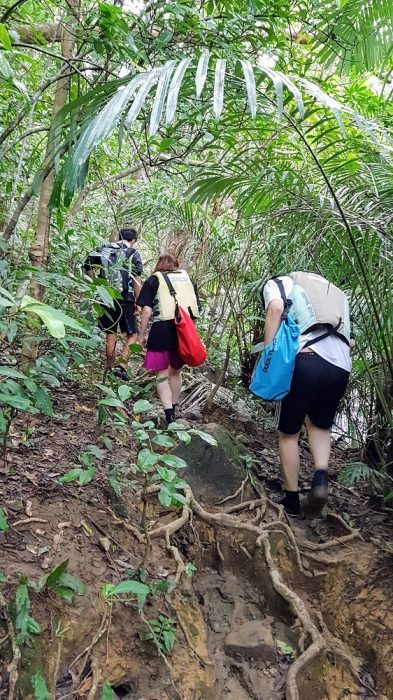 kayaking and trekking on Iriomote The Real Japan Rob Dyer