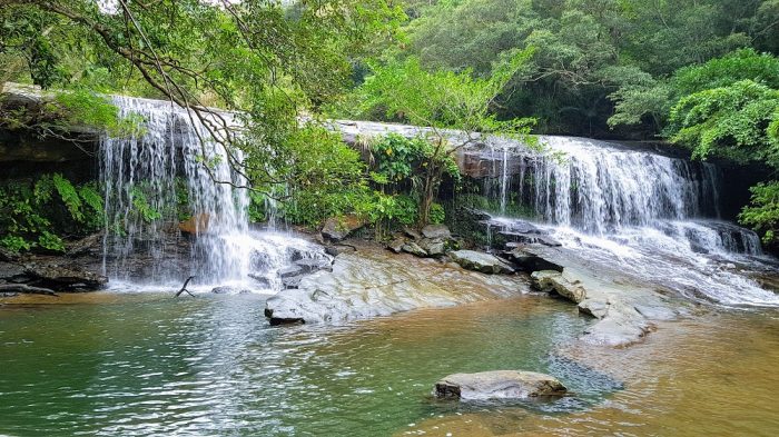 kayaking and trekking on Iriomote The Real Japan Rob Dyer