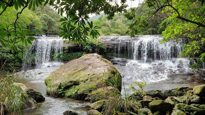 kayaking and trekking on Iriomote The Real Japan Rob Dyer