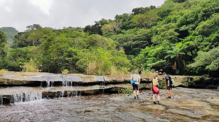 kayaking and trekking on Iriomote The Real Japan Rob Dyer