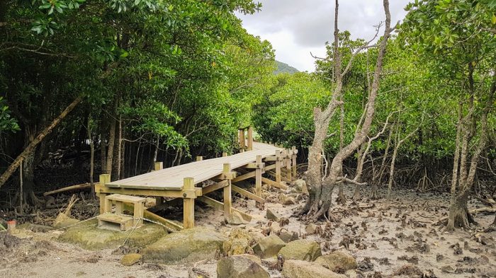 kayaking and trekking on Iriomote The Real Japan Rob Dyer