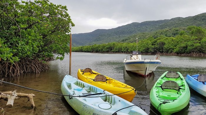 kayaking and trekking on Iriomote The Real Japan Rob Dyer