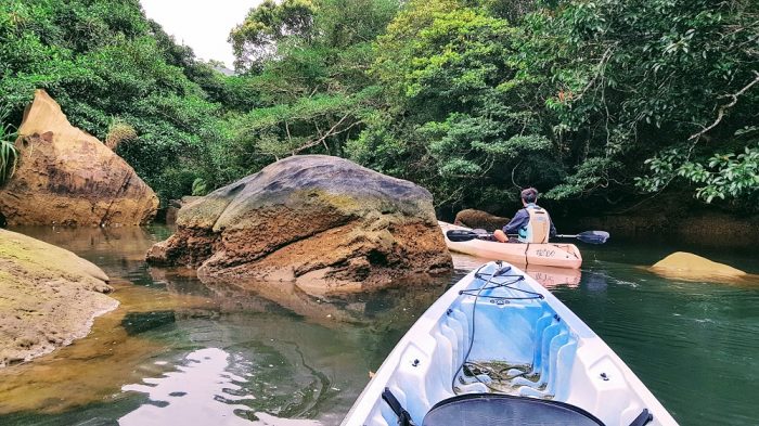 kayaking and trekking on Iriomote The Real Japan Rob Dyer