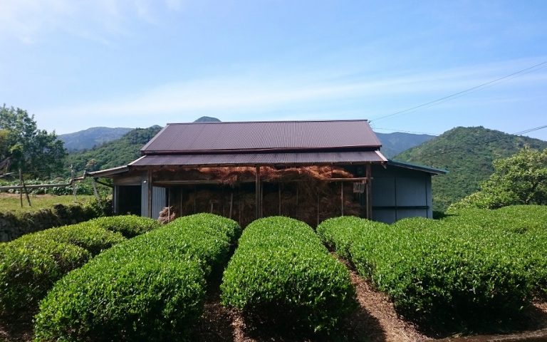 Kumano Kodo route Wakayama Visiting Japan Without Speaking Japanese Rob Dyer The Real japan