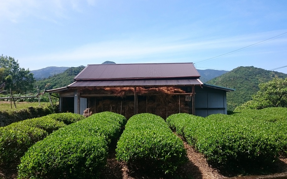 Kumano Kodo route Wakayama Visiting Japan Without Speaking Japanese Rob Dyer The Real japan