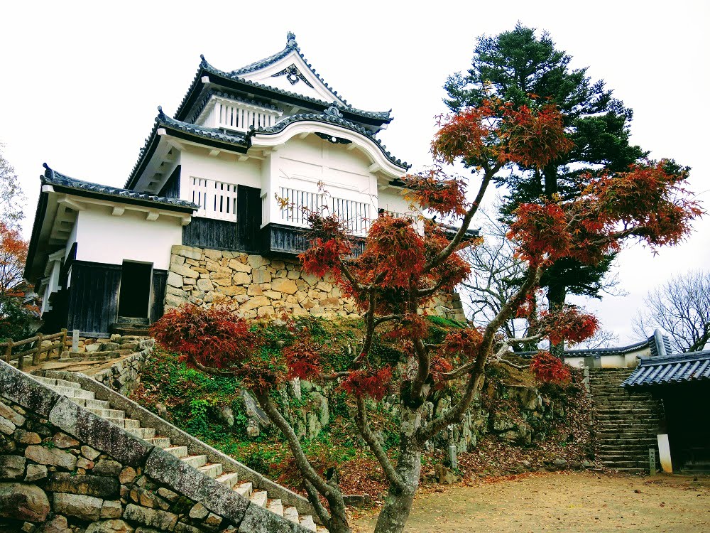 Bitchu Matsuyama Castle The Real Japan Rob Dyer