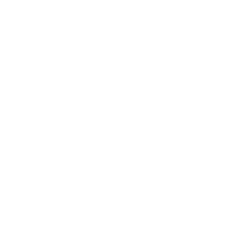 The Real Japan