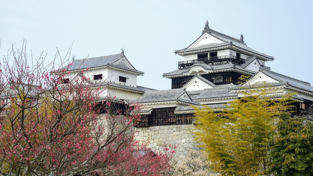 Matsuyama Castle The Real Japan Rob Dyer