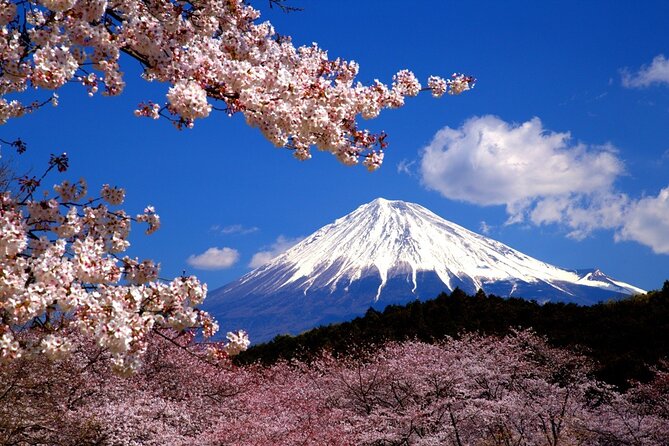 virtual Mt. Fuji tour The Real Japan