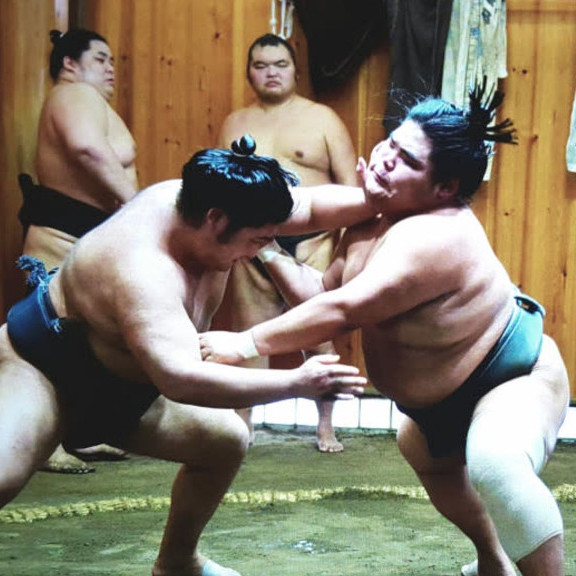 sumo training tour Top 10 most popular activities in Japan The Real Japan Rob Dyer