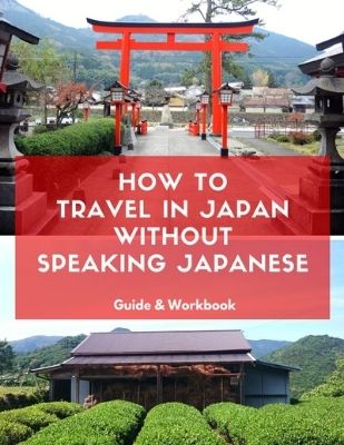 Travel Japan Without Japanese book The Real Japan Rob Dyer