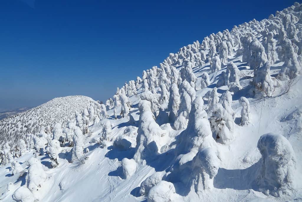 Snow monsters Hakkōda Towada Hachimantai National Park The Real Japan