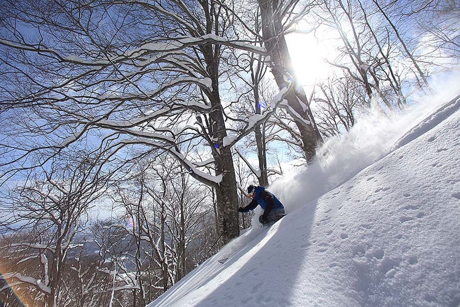 Northern Tohoku simokura ski area hachimantai (trip8)