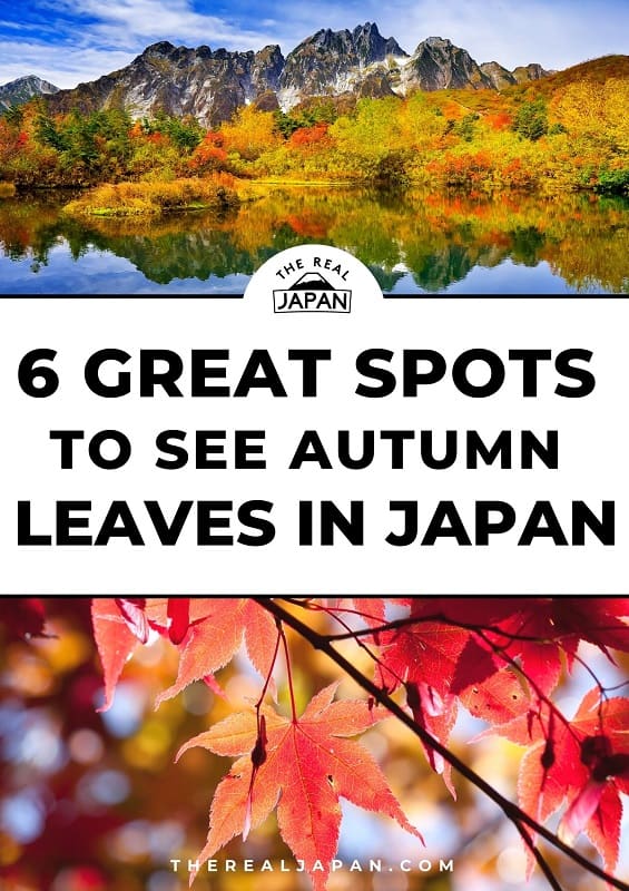 Great Spots to see Fall Leaves in Japan The Real Japan Rob Dyer