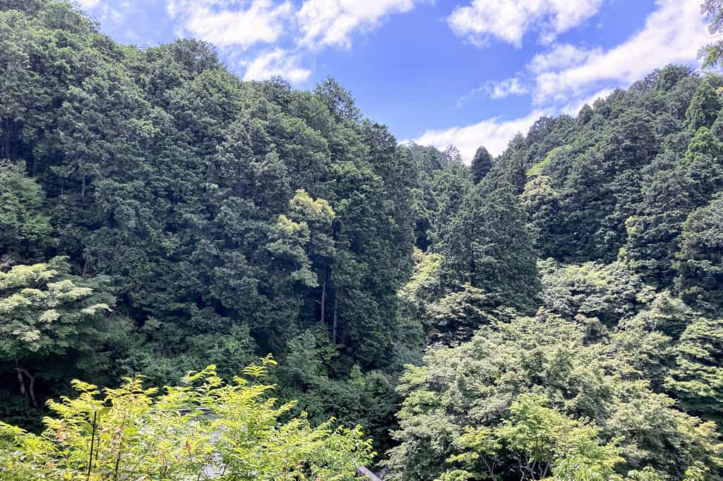 hidden Kyoto view of Mt Shinmei from Himukai Daijingu