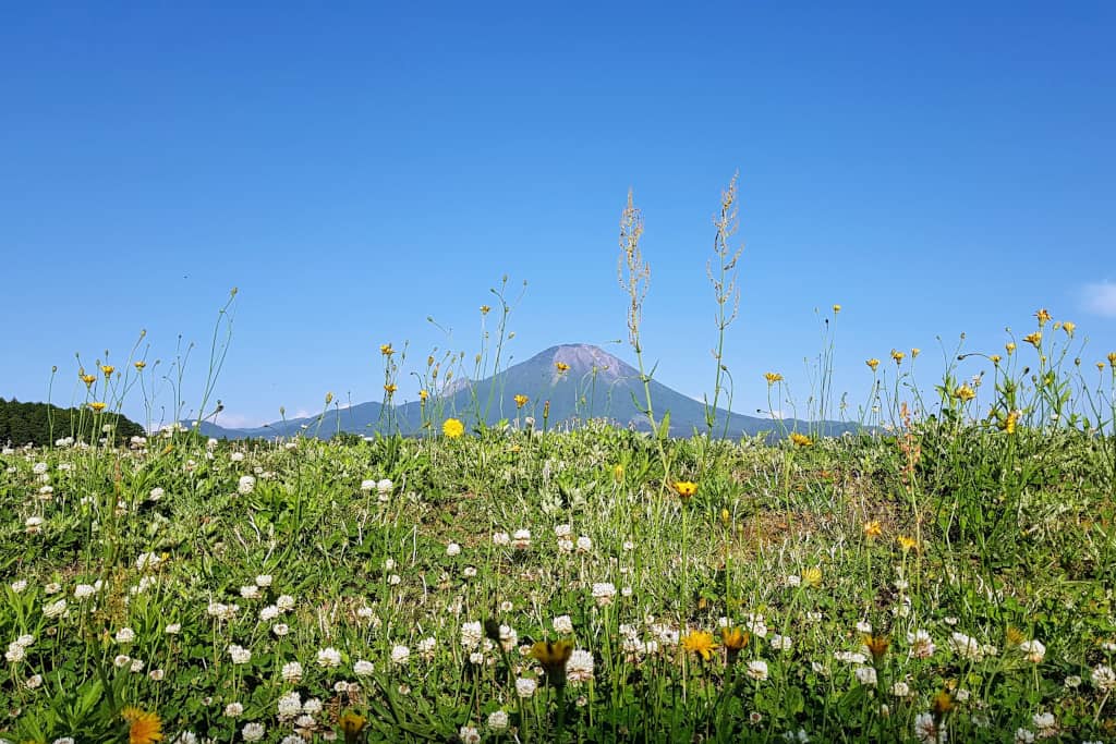 Mt Daisen Shoji Ueda Museum The Real Japan Rob Dyer