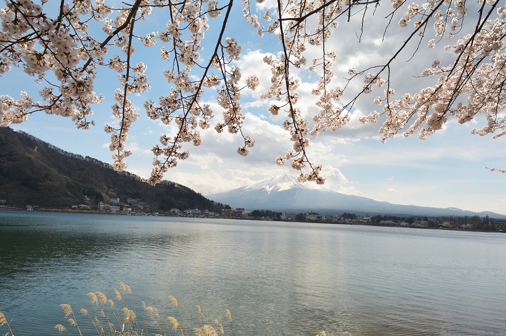 Japan regional rail pass Mt. Fuji TSJR