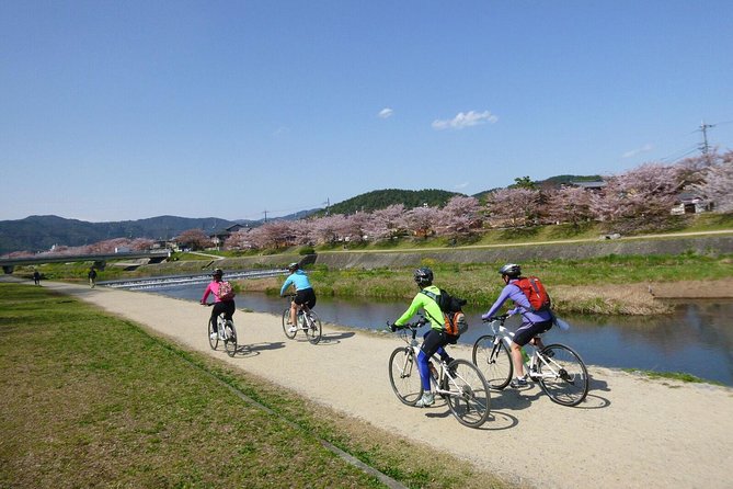 Kyoto ancient canals bike tour The Real Japan 