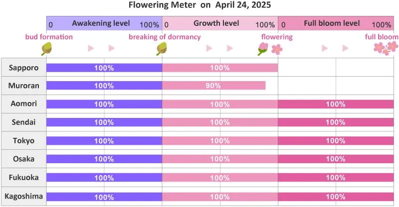 sakura flowering meter The Real Japan