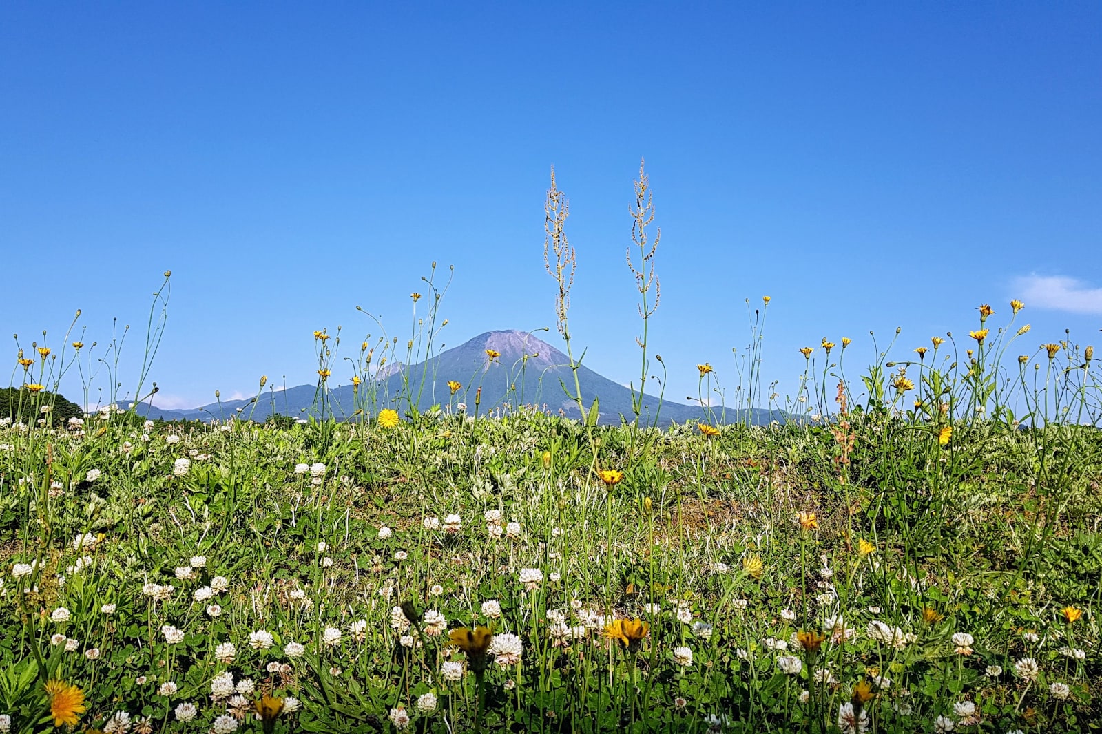 Mt Daisen Tottori sustainable travel Japan The Real Japan Rob Dyer featured
