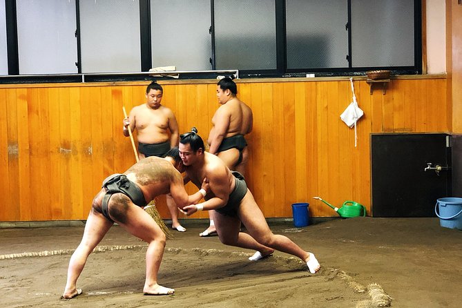 sumo experiences Watch Morning Practice Sumo Stable Tokyo