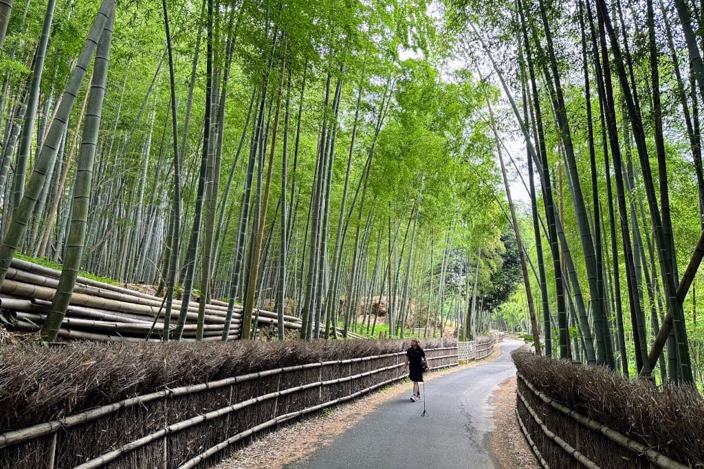 trip to Japan Take-no-michi Bamboo Path Kyoto The Real Japan