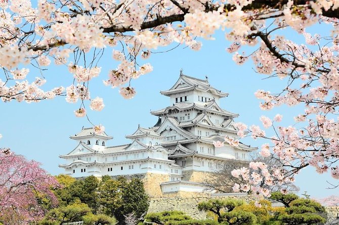 Himeji Half-Day Private Tour with Government-Licensed Guide