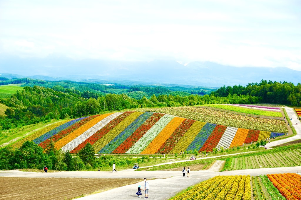 Hokkaido Biei fields summer Yuri Shirota best time to visit Japan