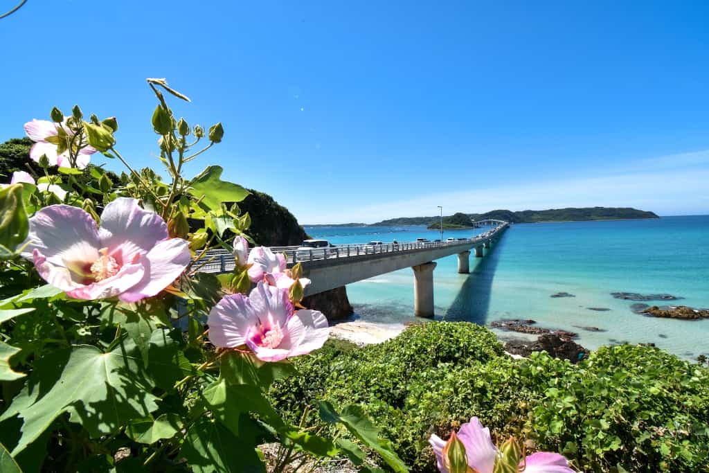 Tsunoshima Island Yamaguchi Samuel Berner featured best places to visit in Japan