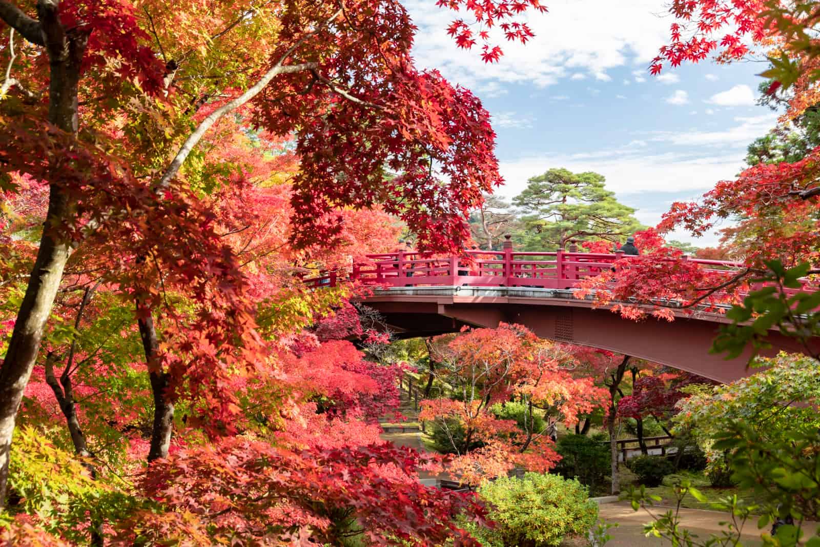 Yahiko Park Niigata JNTO best time to visit Japan featured