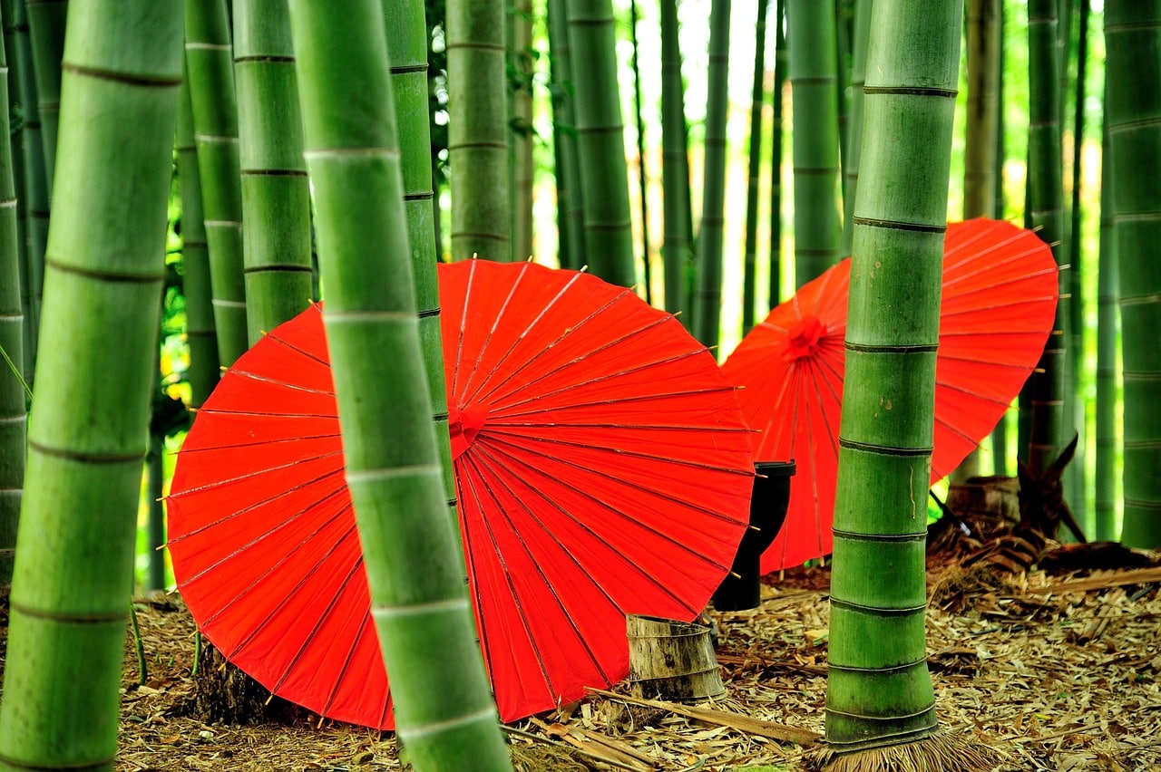 Arashiyama bamboo Kyoto