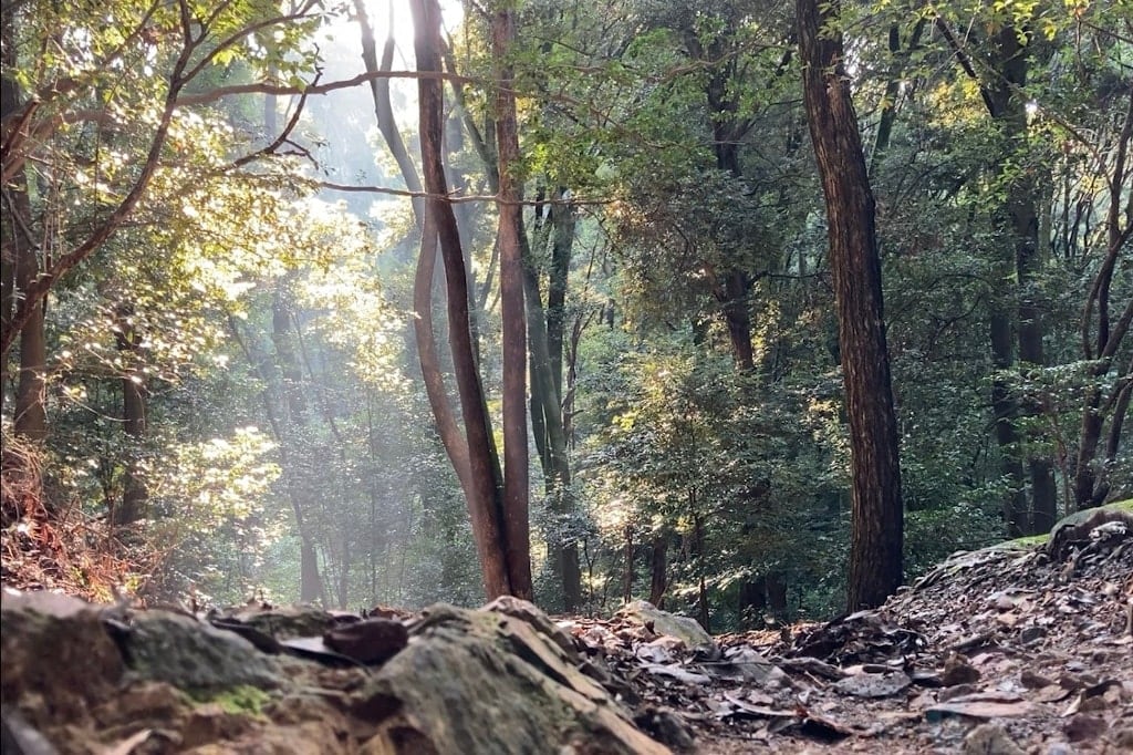 Uji_hiking