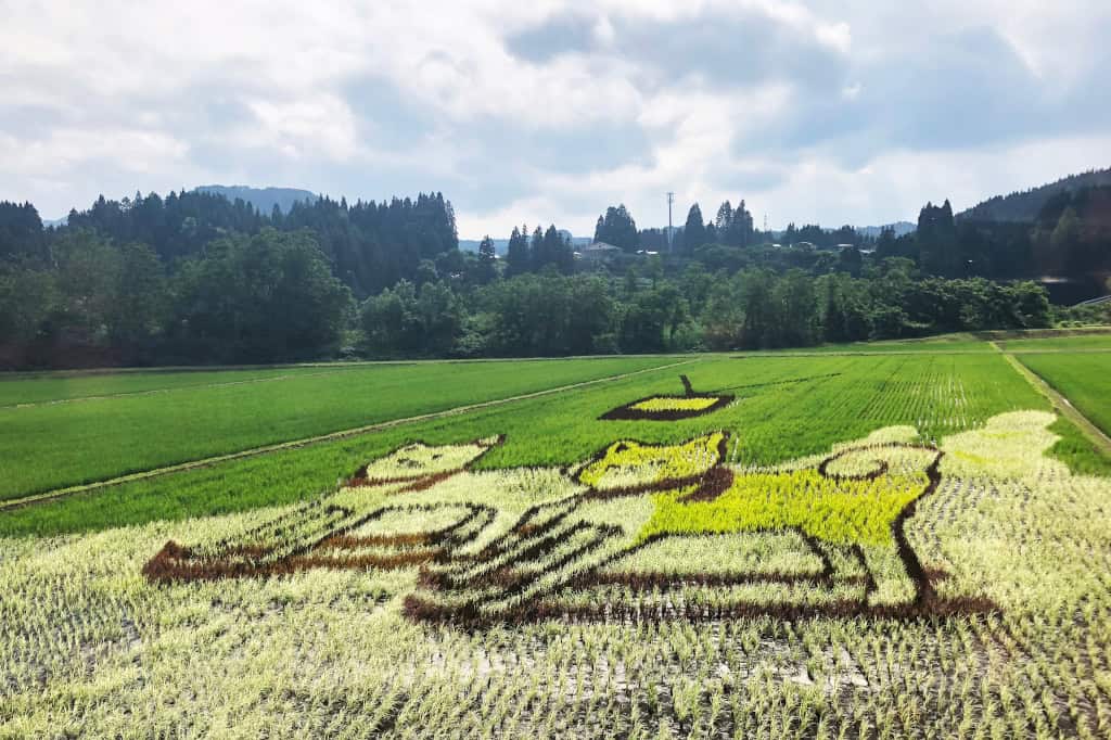 Explore Japan by train Tanba field art Akita