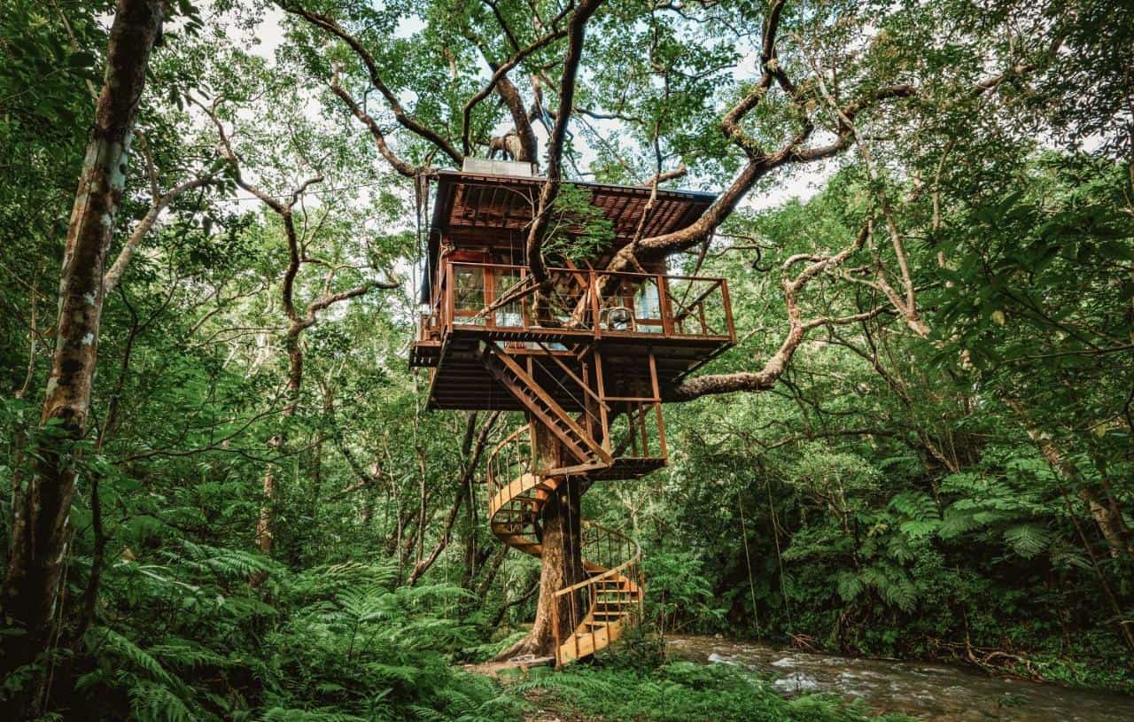 Spiral Treeful Treehouse Sustainable Resort Okinawa featured sustainable accommodation in Japan