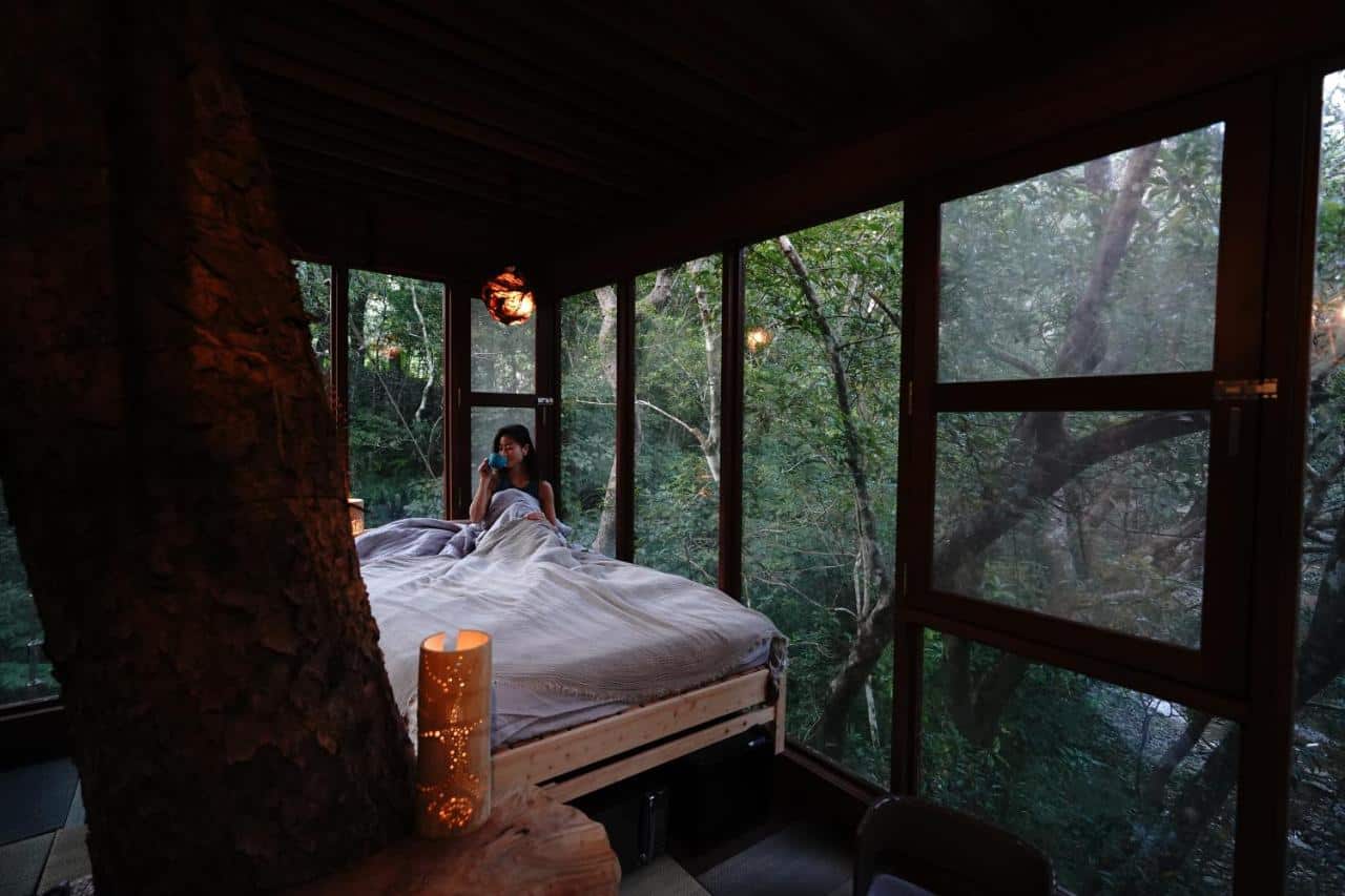 Treeful Treehouse Sustainable Resort Spiral tree room Okinawa