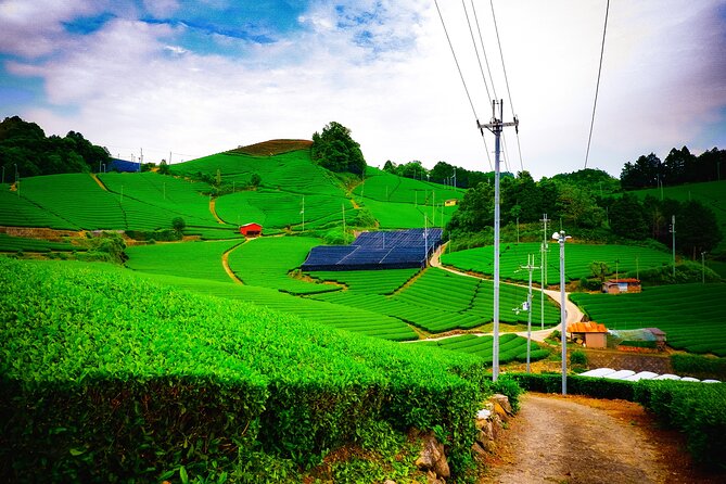 Uji private tour day trips from Kyoto