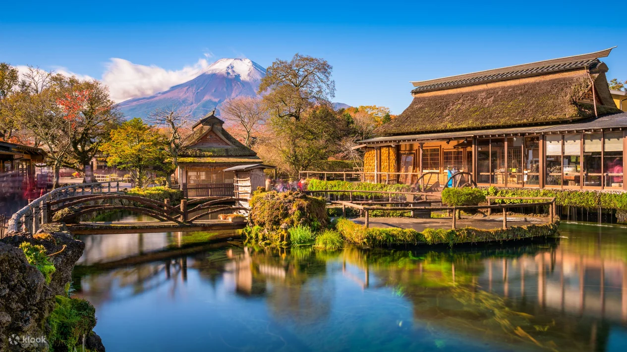 Mt Fuji Private Customisable one day Tour