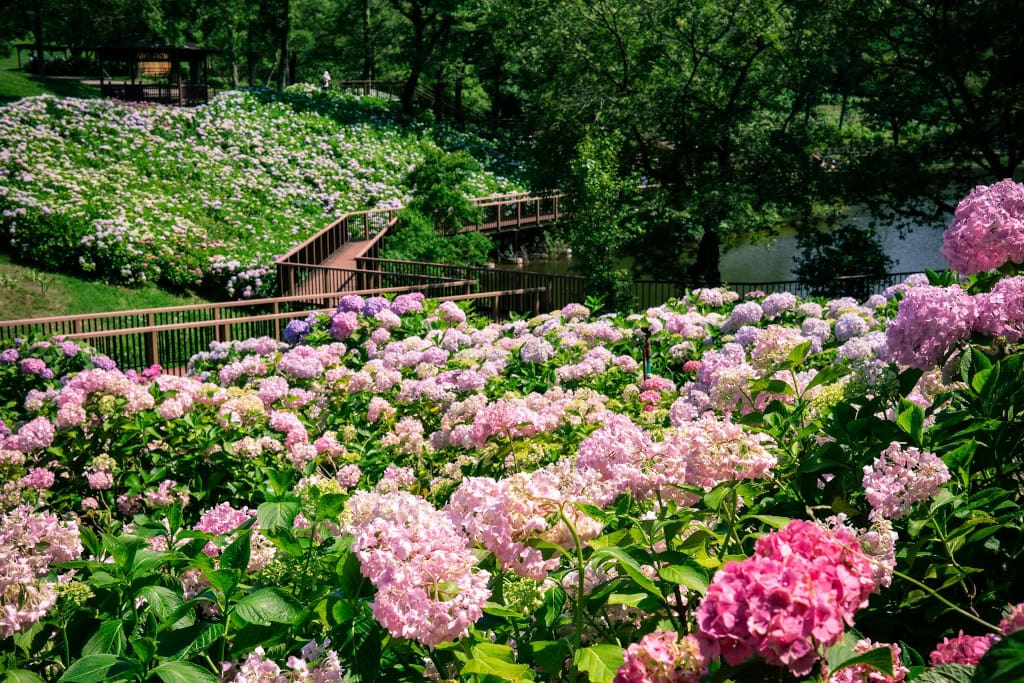 Sanuki Kagawa Manno Park The Real Japan