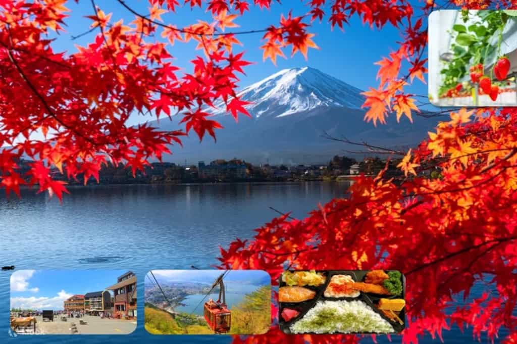 Mt. Fuji flower fruit picking Klook experiences
